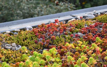 the cost of Hampstead green roof installation