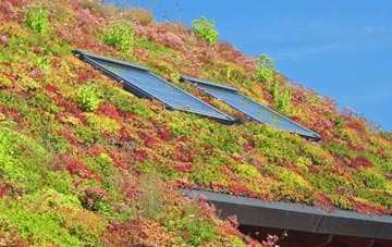 Hampstead living roof systems